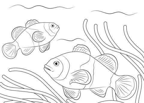 Desenho Imprimível grátis de Peixe grátis para Download 1